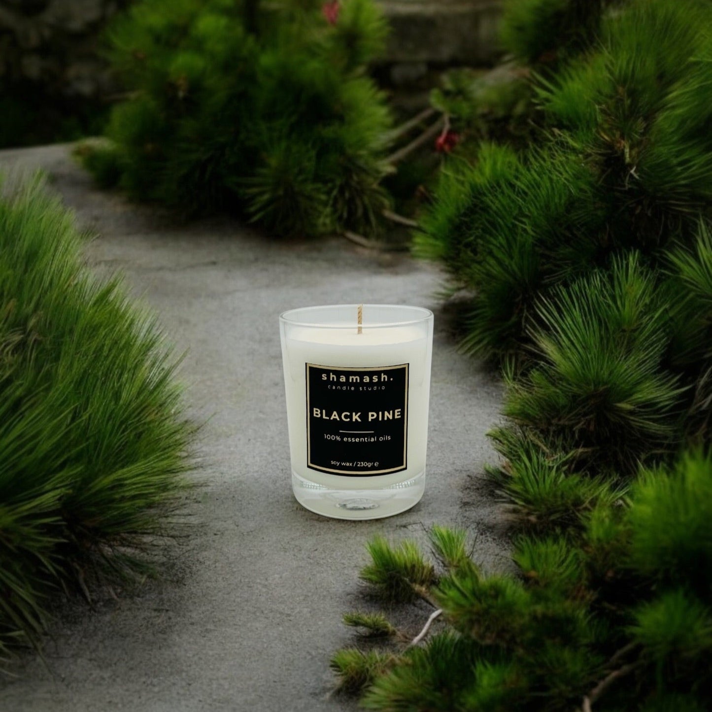 BLACK PINE PURE COLLECTION CANDLE