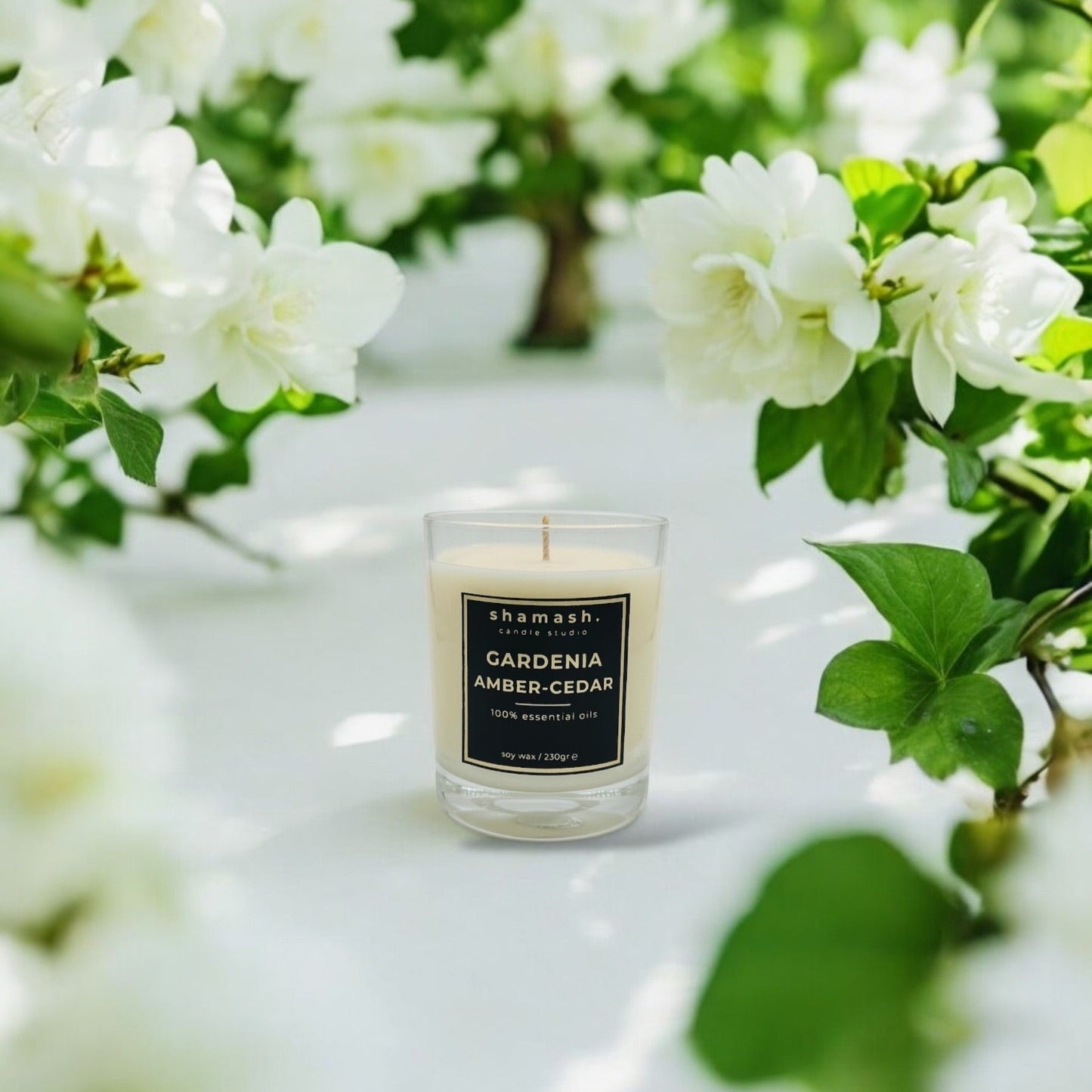 GARDENIA, AMBER & CEDAR PURE COLLECTION CANDLE