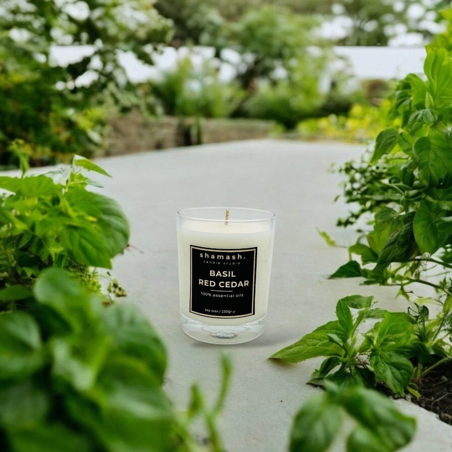 BASIL & RED CEDAR PURE COLLECTION CANDLE