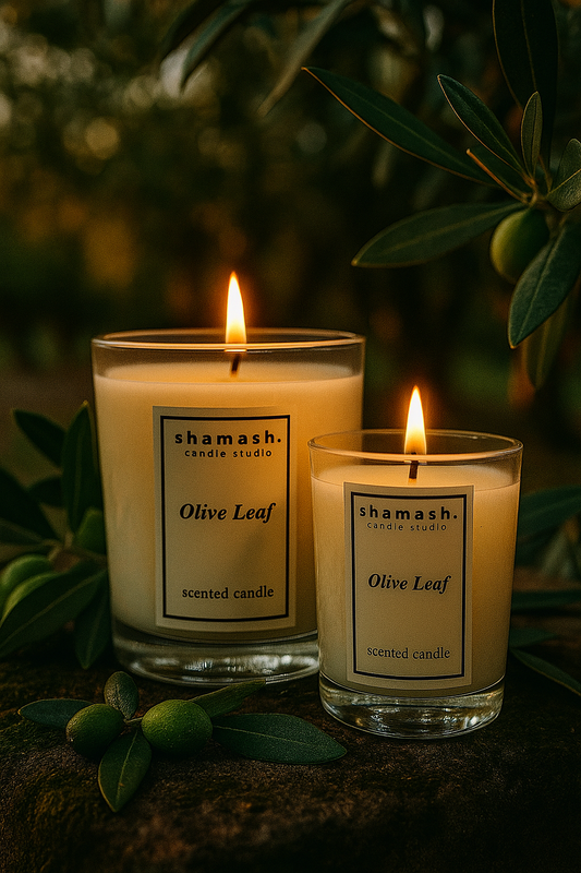 OLIVE LEAF CANDLE - Aegean Reverie